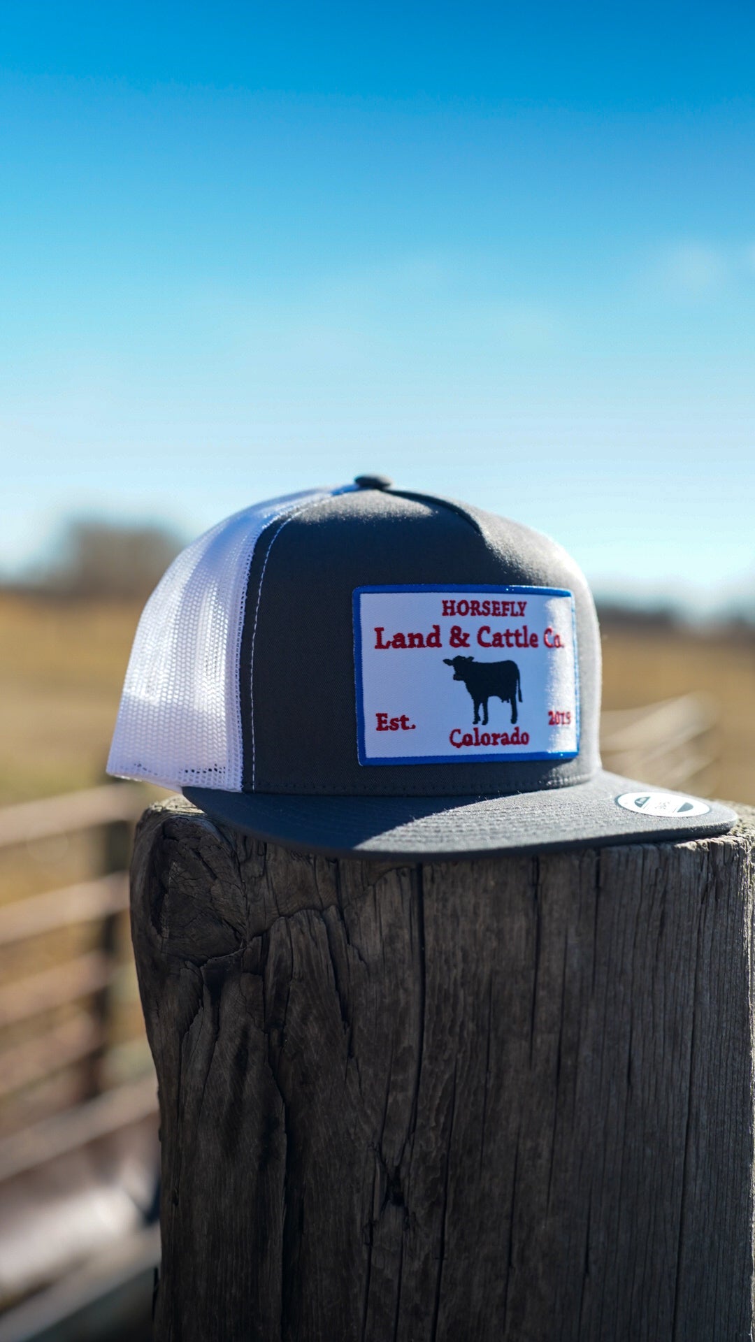 The OG Lid- Gray/White