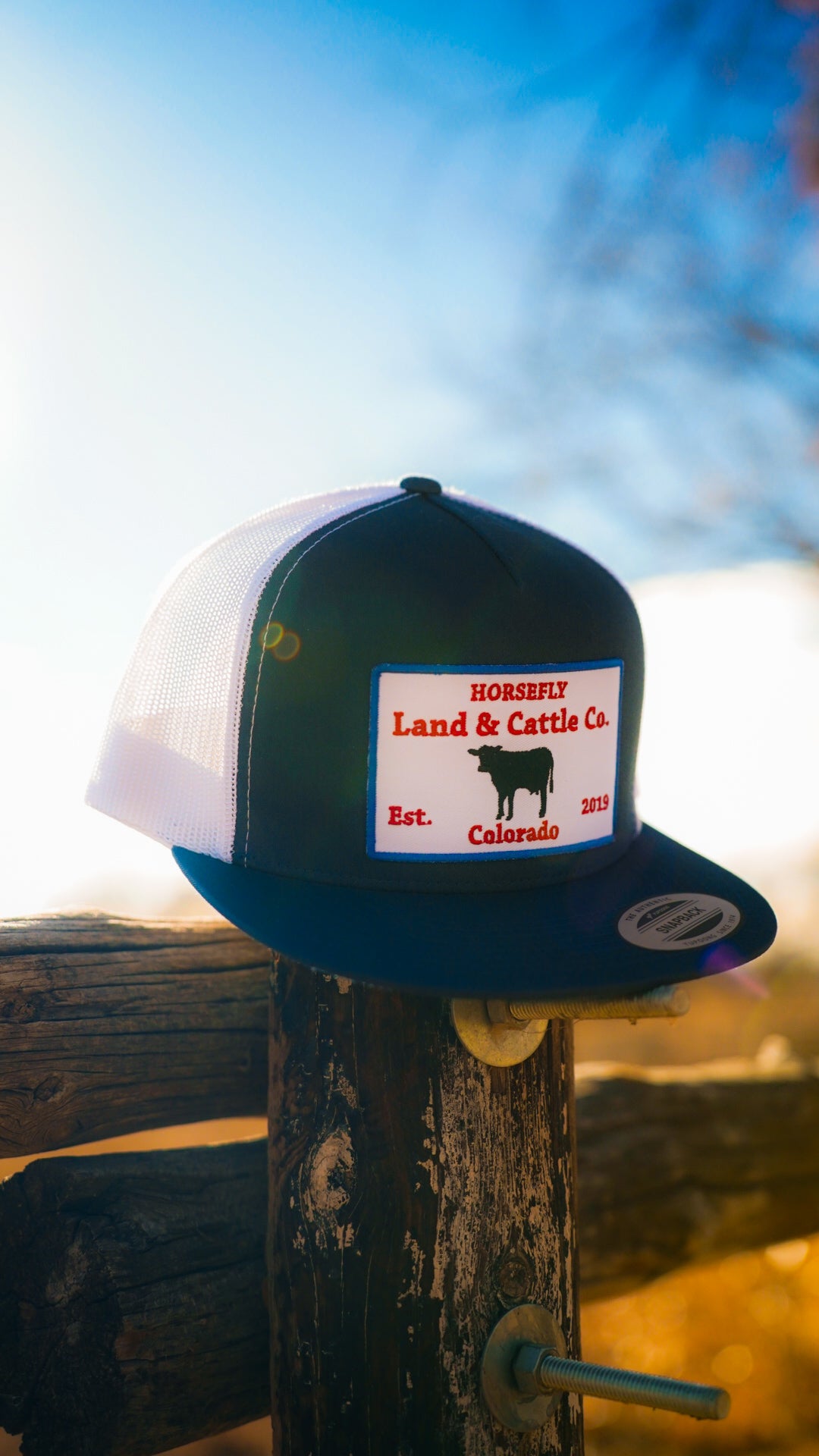The OG Lid- Navy/White