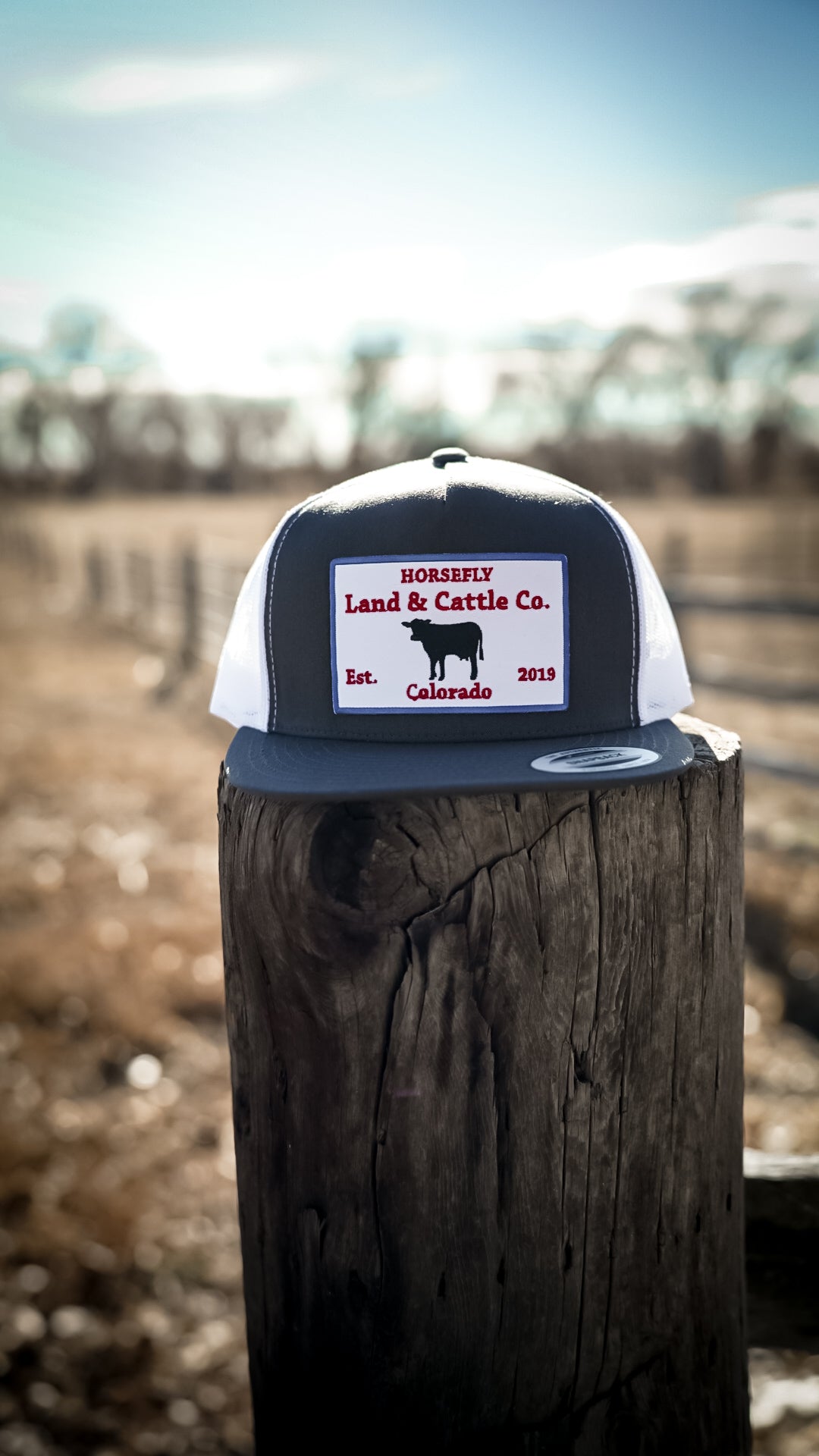 The OG Lid- Gray/White