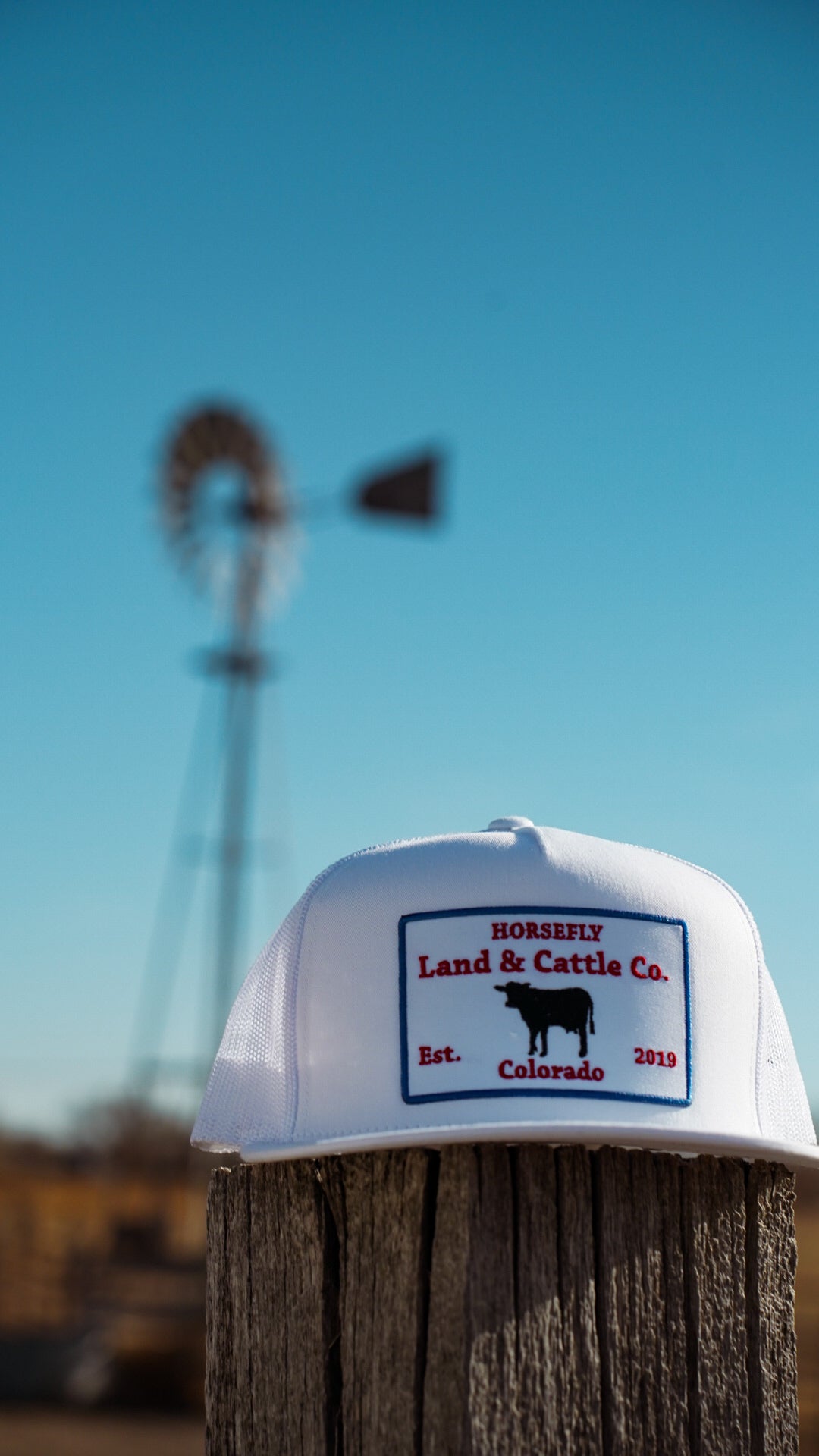 The OG Lid- All White